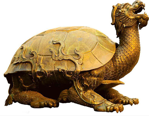 金龟婿gold-turtle