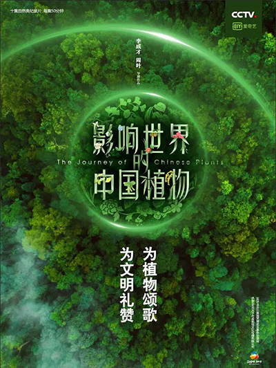 中文纪录片《影响世界的中国植物》——来eChineseLearning学中文